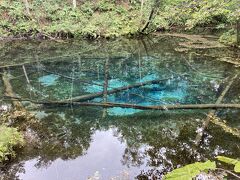 神の子池。今まで見たことない水の色。雨降っていてもこの色。。。