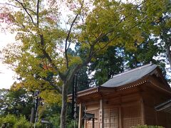 中尊寺の参道,月見坂途中、地蔵堂を過ぎてすぐ左手に薬師堂があります。140年程前に改築されたお堂で、薬師如来、日光・月光菩薩が安置されています。