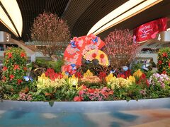 チャンギ空港到着しました。