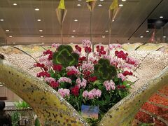 早朝便なので、夜10時頃に就寝。寝過ごすといけないと思っていたら、1時間おきに起きていました (^_^;)
結局3時頃起きて、用意をし、4時前にホテルをチェックアウトし、T3からT2へ。
早朝はスカイトレインが動いていないので、Mezzanine Level （MRT駅の上）にある Link Bridgeを徒歩で移動します。

チェックインをし、出国しました。