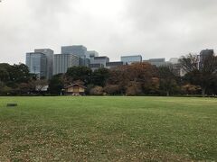 本丸跡（皇居東御苑）：天守台大芝より、ビル群の風景。