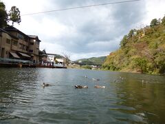 毛越寺から東へ車で２５分ほど、猊鼻渓に着きました。紅葉の走り時期で、平日だったこともあり、運よく次の時間の舟下りに乗れることになりました。船乗り場に着いたら景色を楽しむ前にまず切符を買いに行くことをお勧めします。猊鼻渓は北上川の支流の砂鉄川沿いに、石灰岩の岸壁が、およそ2ｋｍにわたってそびえる渓谷です。

