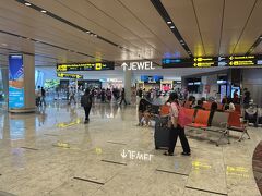 シンガポール、チャンギ空港。とにかく広くて綺麗！今回乗り継ぎが10時間ほどあるため、シンガポール市内にて半日観光を楽しみます。

シンガポール入国にあたり、SG Arrival cardという電子申告が事前に必要です。こちらはインドネシアのビザと違って無料。有料の悪徳ニセサイトがあるのでお気をつけください…。税関申告は申告がなければしないで平気。