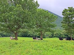 ずっと行きたかったミルクの里へ&#128046;