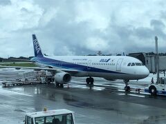 15:21に鹿児島空港に着陸。外は強い雨になっていた。
オンラインチェックインをすませ、出発ロビーからそのままANAラウンジへ。

羽田空港行きANA628便は、16:30にドアクローズするも、駐機場に待機のまましばらく。16:41に出発。16:55離陸。