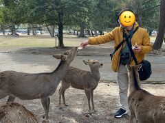 奈良公園へ入りました。
鹿が沢山います。
エサの鹿せんべい(￥200)をあげてたわむれてます。