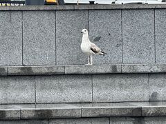 エミノニュ広場