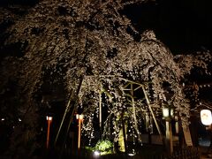 平野神社