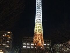 全部の動くパターンを見たかったけれど、寒くて帰ることにしました。
もう一度見に行きたいと思っていましたが、叶わないまま終わりそうです。
でも楽しい体験でした。