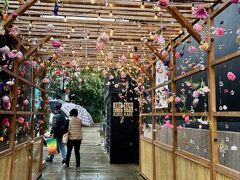 黒壁ガラス館へつながる通路はフォトスポットらしい。