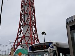 ＡＭ１１時５４分。「博多埠頭」にて下車。

目の前に「博多ポートタワー」が、、、
「釜山タワー」の方が高くて迫力はあったな～