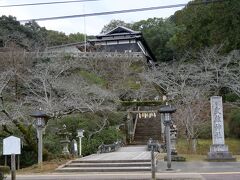 「武雄温泉楼門」から自転車で約10分で「武雄神社」に到着。

「武雄神社」の創祀は、『武雄神社本紀』によれば、神功皇后が朝鮮半島に出兵した「三韓征伐」の帰途、武雄に兵船を止め、それが御船山となり、同行していた「住吉神」と「武内宿禰（たけのうちのすくね）」が御船山の南嶽（船の艫）鎮座したとあるので、西暦200年頃でしょうか。
そして、天平7（735）年に御船山の北嶽（船の軸）の麓である現在地に武内宿禰を奉遷して創建されたそうです。
平安中期から室町時代末期にかけての古文書（国指定重要文化財）が残っている由緒ある神社です。

創祀に神功皇后が関連しているのは、昨日訪れた唐津市の「唐津神社」と同じです。