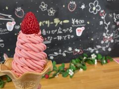 併設のBonBonBERRY 伊豆の国factoryで、いちごのソフトクリームを頂いた。いちごの酸味でさっぱりとしていてリフレッシュ。朝ごはんがたっぷりだったので、これと持っていたお煎餅がお昼代わりに。