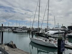 スカイタワーから歩いてヴァイアダクトハーバー（Viaduct Harbour）まで来ました。