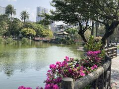 国立国父紀念館近くの公園。

散歩していたり、バードウォッチングしている人がいてのどかな場所でした。