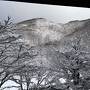 雪を見ながら温泉に浸かりたーい♪奥入瀬渓流＆浅虫温泉