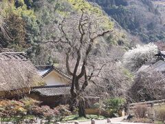 堀家住宅　賀名生皇居跡