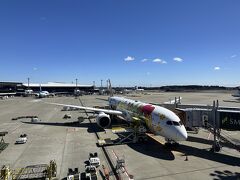 成田空港到着
意図せずピカチュウジェットに乗ることがことができてラッキーでした！

2泊3日と言っても実質1泊半程の短い滞在でしたが、大好きな台南へ行き、やりたいことも色々できたし、何より旅行に出かけられたこと自体幸せなことでした