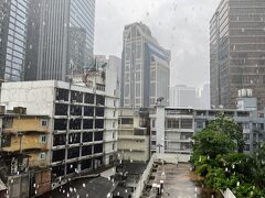 雨の音で目が覚めました。