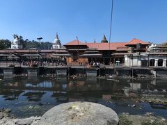 入り口がわかりずらいが、人がたくさんいるところはヒンズー教寺院でそこからは入れない。もう少し向こうの道を入ったら、ツーリストインフォメーションがあるところに入るので、右側にチケットオフィスがある。ここでチケットを買って中に入る。有名な火葬場などを見て階段を上がって奥にも行ってみた。猿がいっぱいだ。