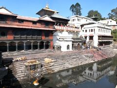パシュパティナート寺院