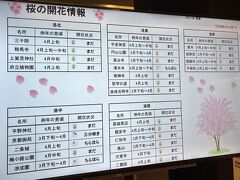 　ホテルロビーの桜の開花情報。多くの「まだ」の文字が悲しい。秋には紅葉情報でした。
　こういったものを眺めながら時間つぶしをしています。集合時刻は7：50ですが、既に7：55。一組来ていません。さて、どなたでしょう？正解！新幹線に乗り遅れた3人組の女性達。お年は80歳前後かな？ベテランTD「遅れられると皆さん困ります」と一言。他のお客も内心「やはりね」と、私と同じことを考えているでしょう。2度あることは3度ある。次は何をしでかしてくれるかな？人間ウォッチングします。