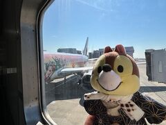 ってわけで、ゆったりと空港到着。
機体がディズニーランド40th記念ラッピングだ！と喜んでチップさんと写真を撮っていたら、おばさま達に「あら、可愛いー」と言ってもらえて朝からテンション上がる↑↑

今回は鹿児島という事で、西郷さん風のお着物を作って着せてみました。
あと温泉巡りするので首には手ぬぐい←マストアイテム

羽田10:05⇒鹿児島11:55　JAL645便