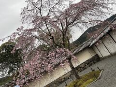 醍醐寺三宝院