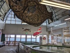 まずは道の駅今治市多々羅しまなみ公園でランチ。
でっかいヒラメがお出迎え。