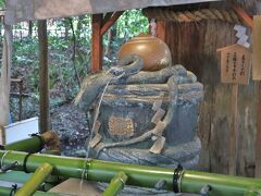 　喜多館長曰く「大神神社には今も白蛇の子孫がいてお供えの生卵を食べている」とのことで、白蛇に会いに大神神社に向かいました。金屋の石仏のある山の辺の道を歩いても行けるとのお話でしたが、時間もないのでやはり車で移動、無料の第6駐車場を利用しました。手水舎の奥にある「しるしの杉」に大物主神のあらわれたそうです。神の坐する杉が残されているとは、さすが日本最古の神社と呼ばれるわけです。