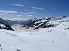 「アレッチ氷河」

約23kmにもおよぶアルプス最大の氷河。

