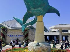 ずっと来てみたかった美ら海水族館です！