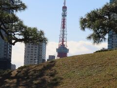 ふりかえると「新樋の口山」ごしに　
ビルに邪魔されない　(貴重！）
東京タワーが見えています