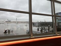 羽田に到着。パースと違って雨。寒い日本に戻ってきました。

これで、いろいろあったけど、のんびりパースの旅はおしまい。