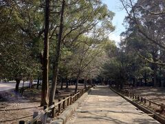 東大寺のエリアを出て、
今度は春日大社へ。

こんな小道を通っていきます。
東大寺の出口から一キロ弱とのこと。