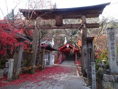 御調八幡宮は西の吉野ともいわれ、しだれ桜の名所として有名です。 
豊臣秀吉が三原城滞在中に参拝し、境内に桜の木を手植えしたと伝えられています。
備後総鎮守一の宮神社で、和気清麻呂の姉和気広虫（法均尼）が流された地です。