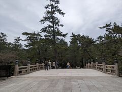 【出雲大社】
出雲大社は去年も来ましたが、
去年は駐車場からすぐに大社に入ってしまったので、