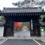 2023 秋の京都 紅葉の一人旅