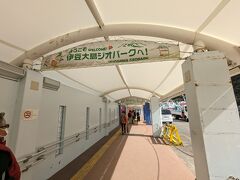 伊豆大島にやって来るのは12年ぶりです。
岡田港で下船しましたが、今夜の宿は元町の方なので移動が必要です。