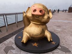 こういう金ぴかの豚の銅像もあります。香港のアニメのキャラクター「マクダル」のようです。