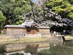 東京に桜開花宣言が出た翌日に訪れました。
水戸徳川家の初代藩主・頼房と二代藩主・光圀によって造られた庭園です。
緑豊かな庭園で、春は梅や桜、椿が、初夏には蓮や菖蒲が楽しめます。桜が開花していないところも多く、開花した桜を求め多くの人が訪れていました。
写真は復元された、かつての後楽園の正式な入口だった唐門と花開いた桜です。
