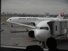 羽田に着きました。
なんと定刻。白いB767型が映えます