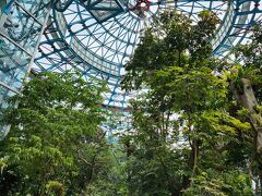 ドーム型の植物園。涼もうと来たのに、熱帯植物園でなかも蒸し暑く、軽い熱中症気味に(涙)それでも、頑張ってそとの展示エリアも見ました。
