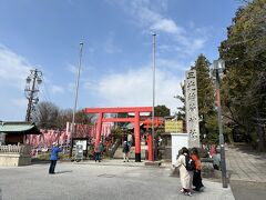 犬山城の手前にある神社の中を通っていきます。