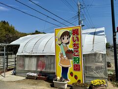 国道126号線を北上して成東に、この辺は苺の直売店が数多くあります。
赤い回転灯が回っているとお店が開いて苺売っています。

big香港家はいつも『梶いちご園』さんで美味しいいちごを購入しています。