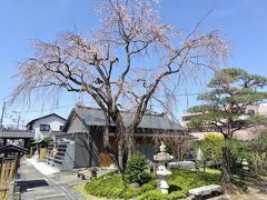 3月31日
広済寺へ。3分咲。