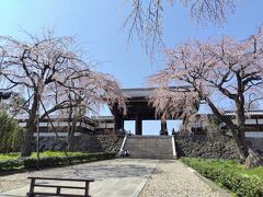 ふたたび東郷寺へ。
