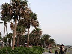 旗津海岸公園 / 海水浴場
