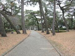 翌日、港の周りを散歩
港口公園
松林の先に芝生もあって、気持ちの良い場所

本居長世記念碑がある
本居長世？･･･調べてみると、だれでも知ってる「赤い靴」「十五夜お月さん」「七つの子」「青い目の人形」などを作曲した人物、『日本の童謡の父』と言われているんだそうだ

で、沼津とのかかわりは「沼津が好きで毎年来ていた」だって(涙)