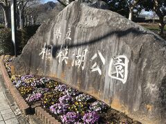 相模湖湖畔にある公園で割りと規模も大きかったです。
